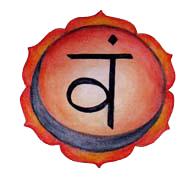 reiki, aura, chakras, balance your chakras, harmonize your aura